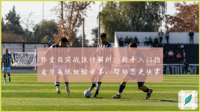 炸金花实战技巧解析：新手入门指南与高玩经验分享，帮助您更快掌握核心策略