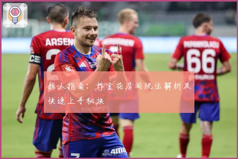 新人指南:炸金花房间玩法解析及快速上手秘诀