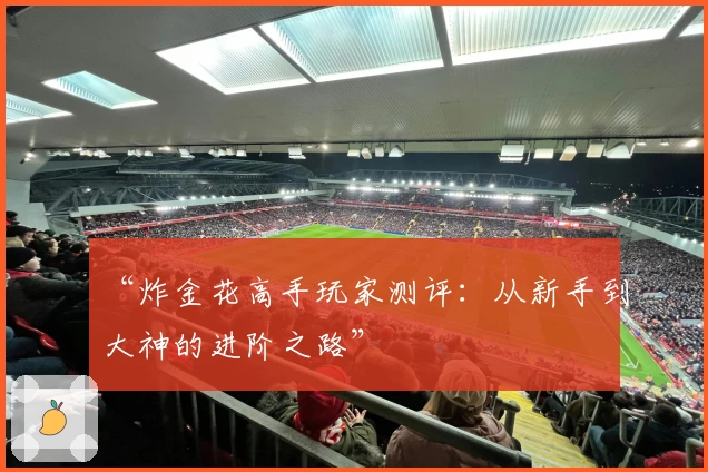 “炸金花高手玩家测评：从新手到大神的进阶之路”