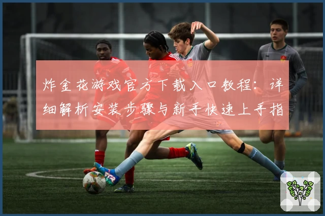 炸金花游戏官方下载入口教程：详细解析安装步骤与新手快速上手指南