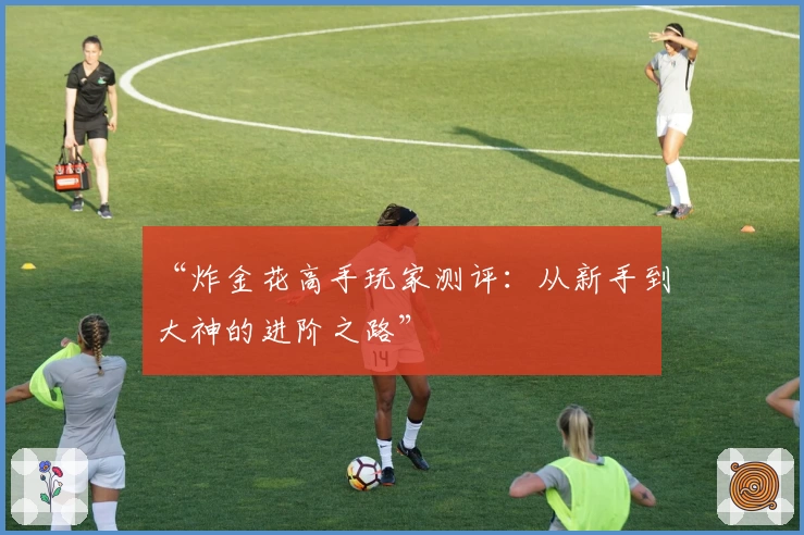 “炸金花高手玩家测评：从新手到大神的进阶之路”