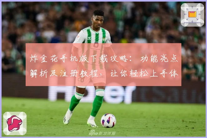 炸金花手机版下载攻略：功能亮点解析及注册教程，让你轻松上手体验经典牌局