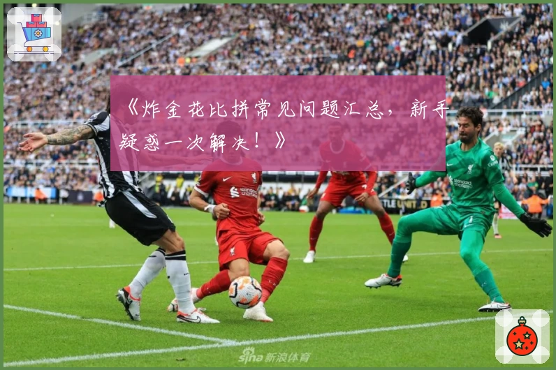 《炸金花比拼常见问题汇总，新手疑惑一次解决！》